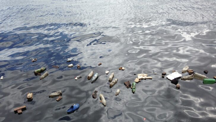 Pencemaran Laut Serta Cara Mengatasinya