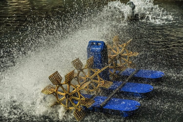 paddle-wheel-4544791_1920