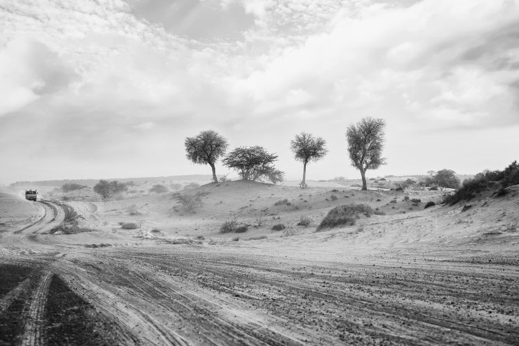 road-gfdfe33019_1920