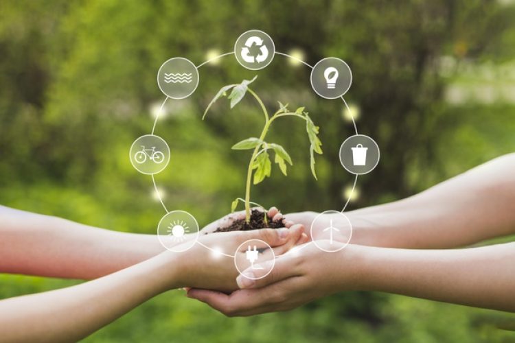 save-world-innovation-concept-girl-holding-small-plant-tree-sapling-are-growing-up-from-soil-palm-with-connection-line-ecology-conservation-concept_28629-1571